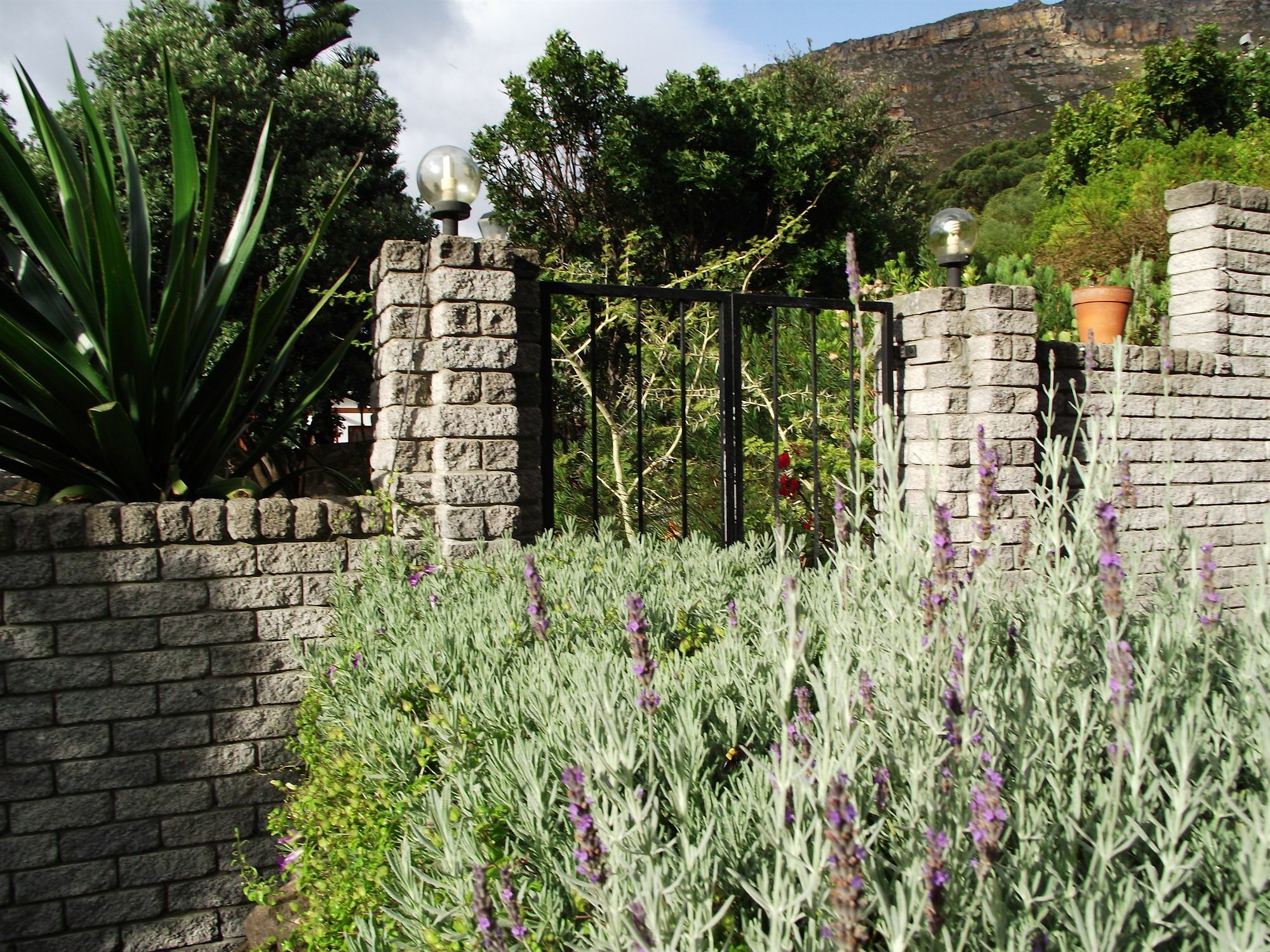 Bluebottle Guesthouse Muizenberg Exterior foto